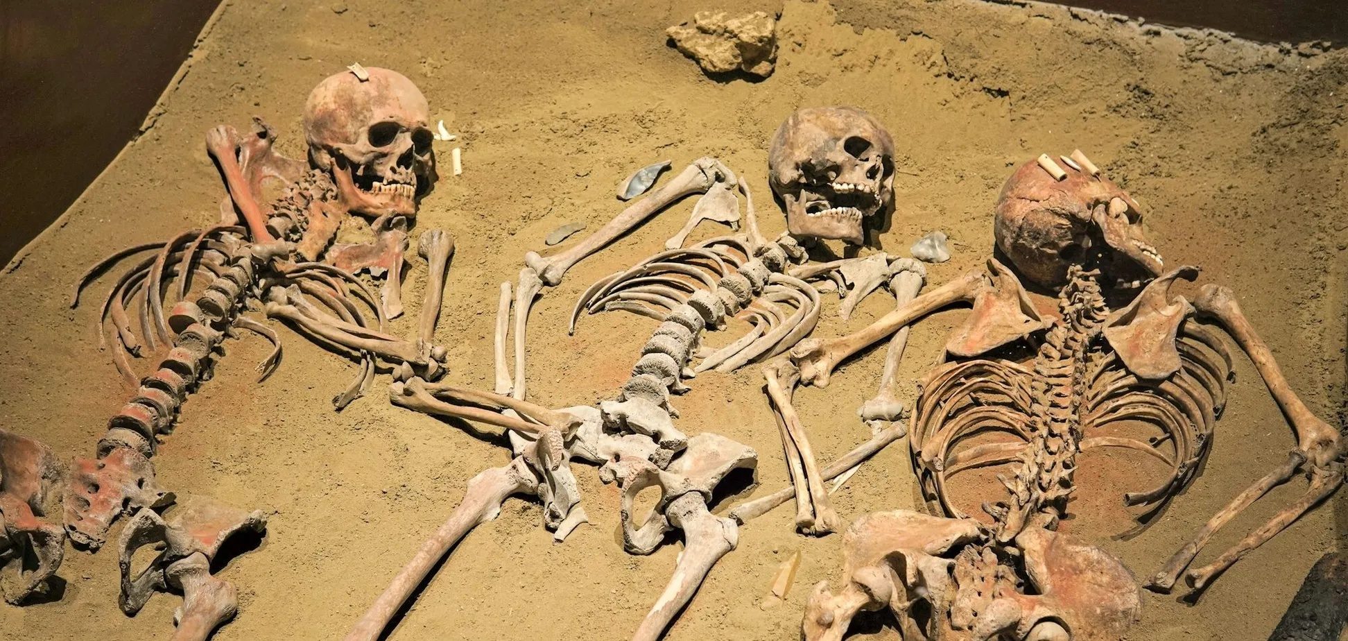 Ученые переписали историю происхождения человеческого рода