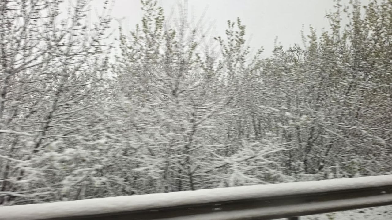 В Украину вернулась зима: большой город засыпает снегом