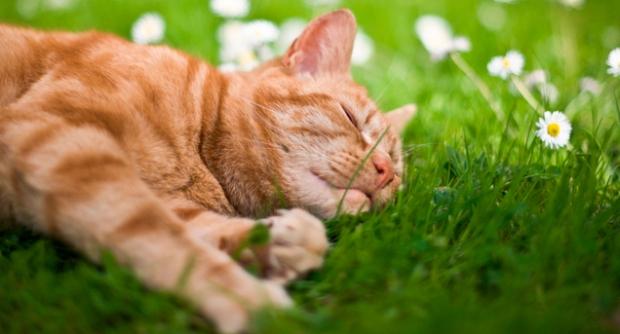Потепління вже близько: в яких регіонах пригріє до +19° ➤ Prozoro.net.ua