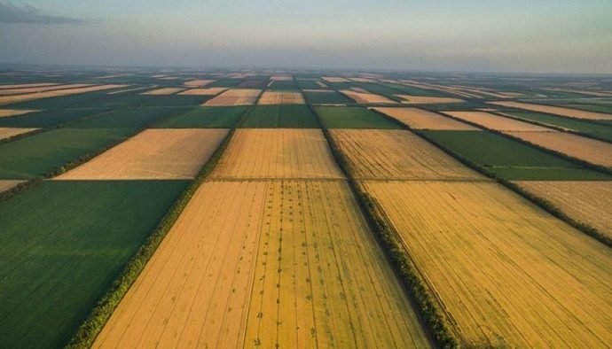 В Украине переписали цены на землю: сколько сейчас стоит гектар ➤ Prozoro.net.ua