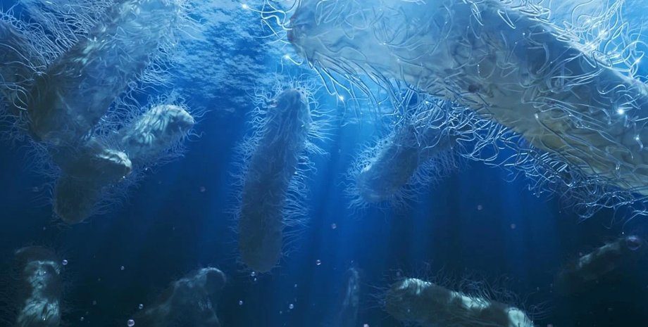 В недрах Земли обнаружили огромный резервуар воды: ученые удивили открытием