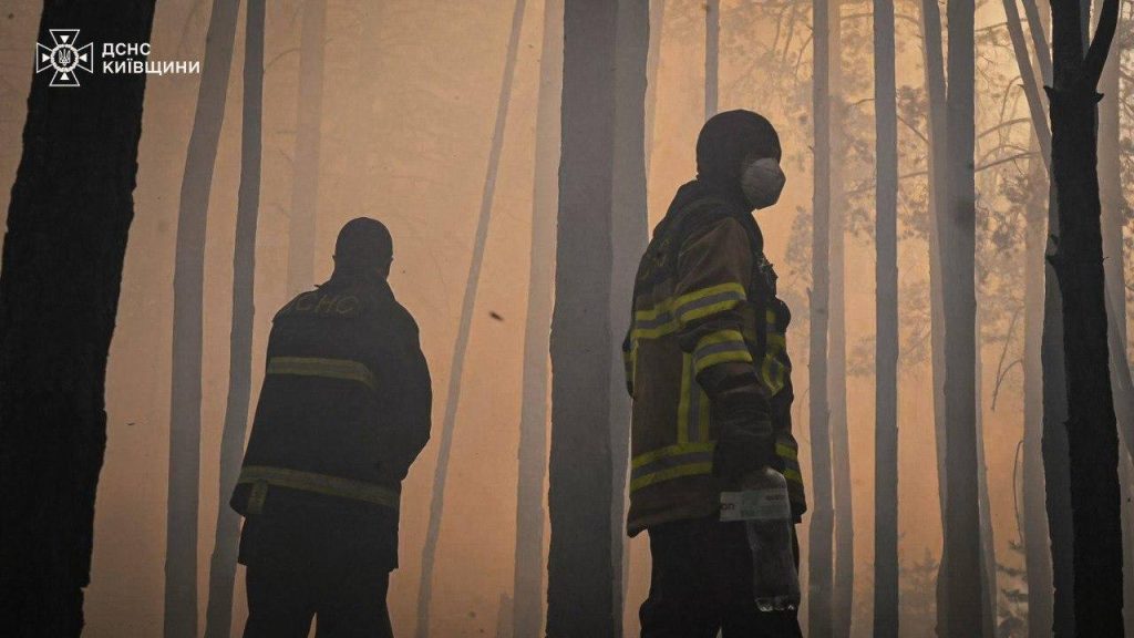 У Чорнобилі горить ліс: чи є небезпека поширення радіації 3 У Чорнобилі горить ліс: чи є небезпека поширення радіації