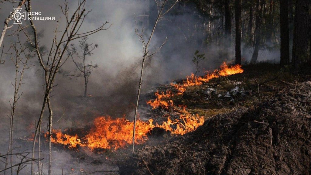 У Чорнобилі горить ліс: чи є небезпека поширення радіації 8 У Чорнобилі горить ліс: чи є небезпека поширення радіації