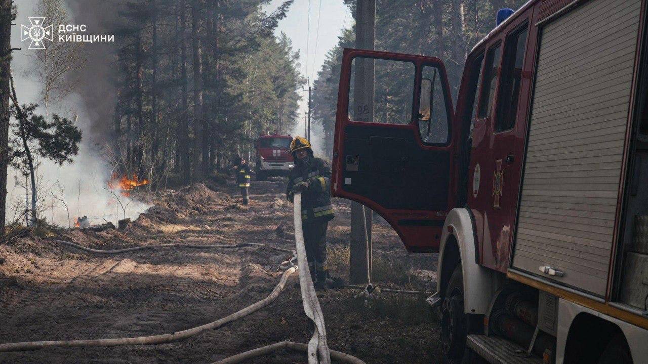 У Чорнобилі горить ліс: чи є небезпека поширення радіації ➤ Prozoro.net.ua