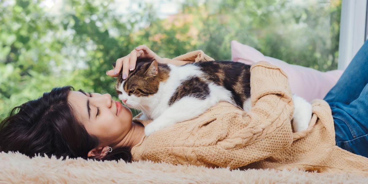 Не все это замечают: 4 явных признака любви от вашей кошки