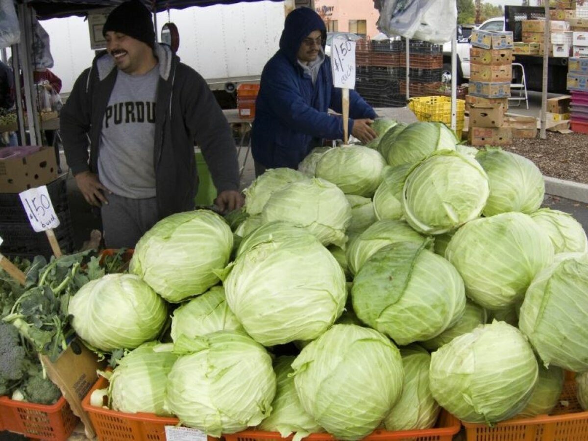 Опасная капуста: какую нельзя покупать на базаре