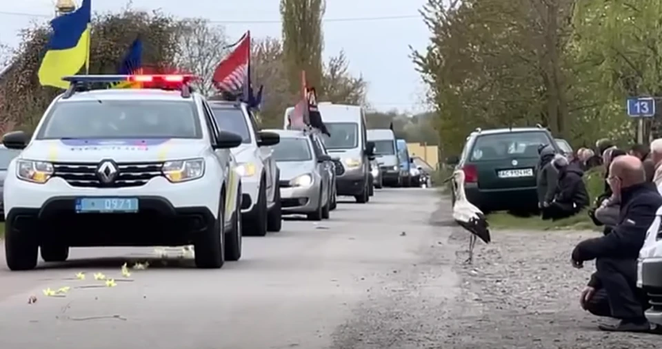 На Волыни на прощание с павшим бойцом прилетел аист (видео)