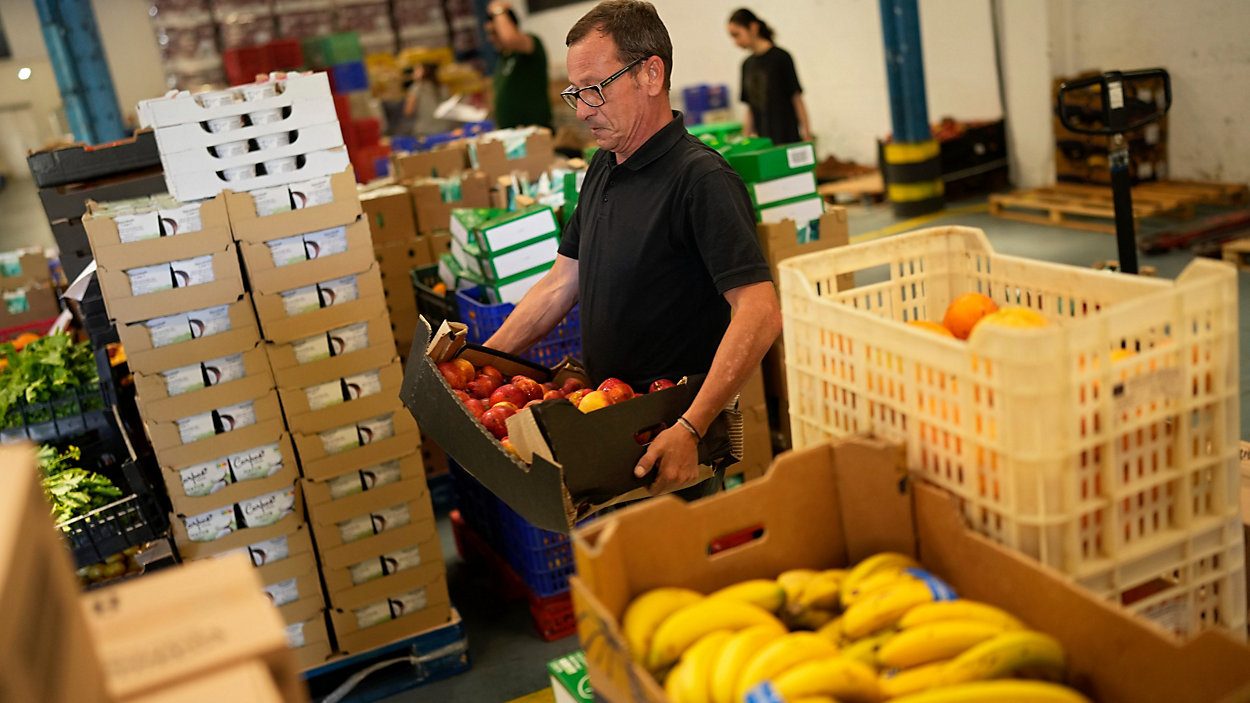 В Германии раздают тонны продуктов бесплатно: как получить украинцам