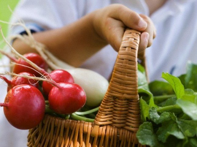 Несумісні сусіди на грядці: що не варто висаджувати поруч