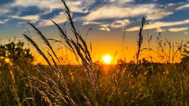 Синоптики удивили прогнозом на июнь: такого не было давно ➤ Главное.net