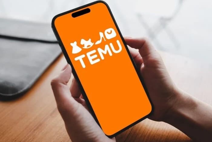 ЕС оштрафовал Temu на 200 млн евро: в чем причина
