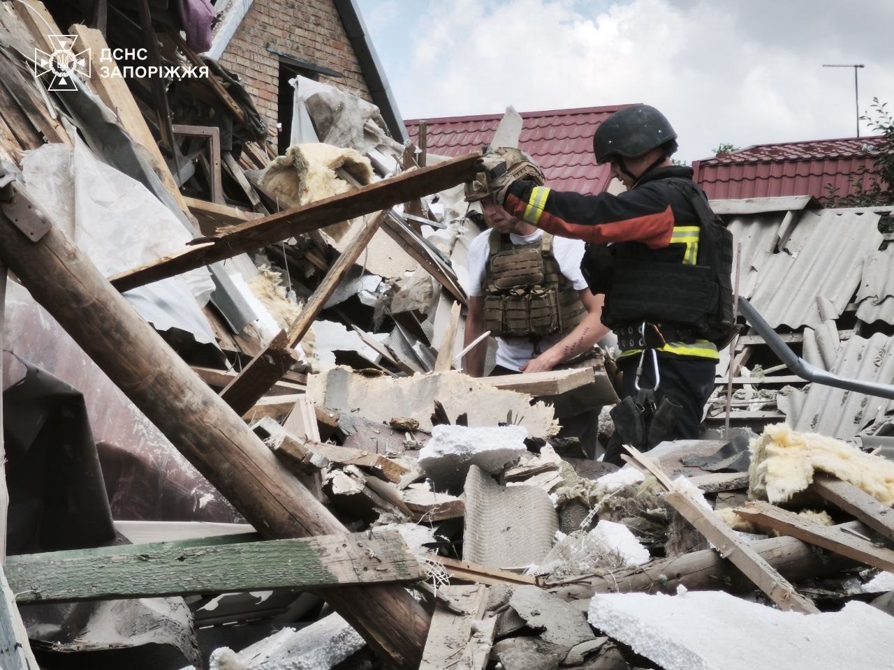 В Запорожье спасатели достали собаку из-под завалов после удара РФ (видео)