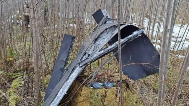 Сапери попередили про смертельну загрозу від уламків «Шахедів» біля водойм