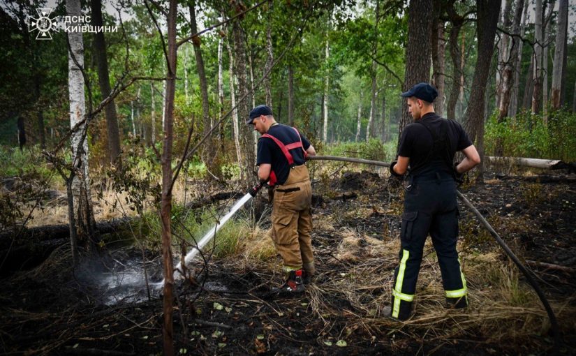Пожежу в Чорнобильській зоні відчуження повністю загасили: який радіаційний фон ➤ Prozoro.net.ua