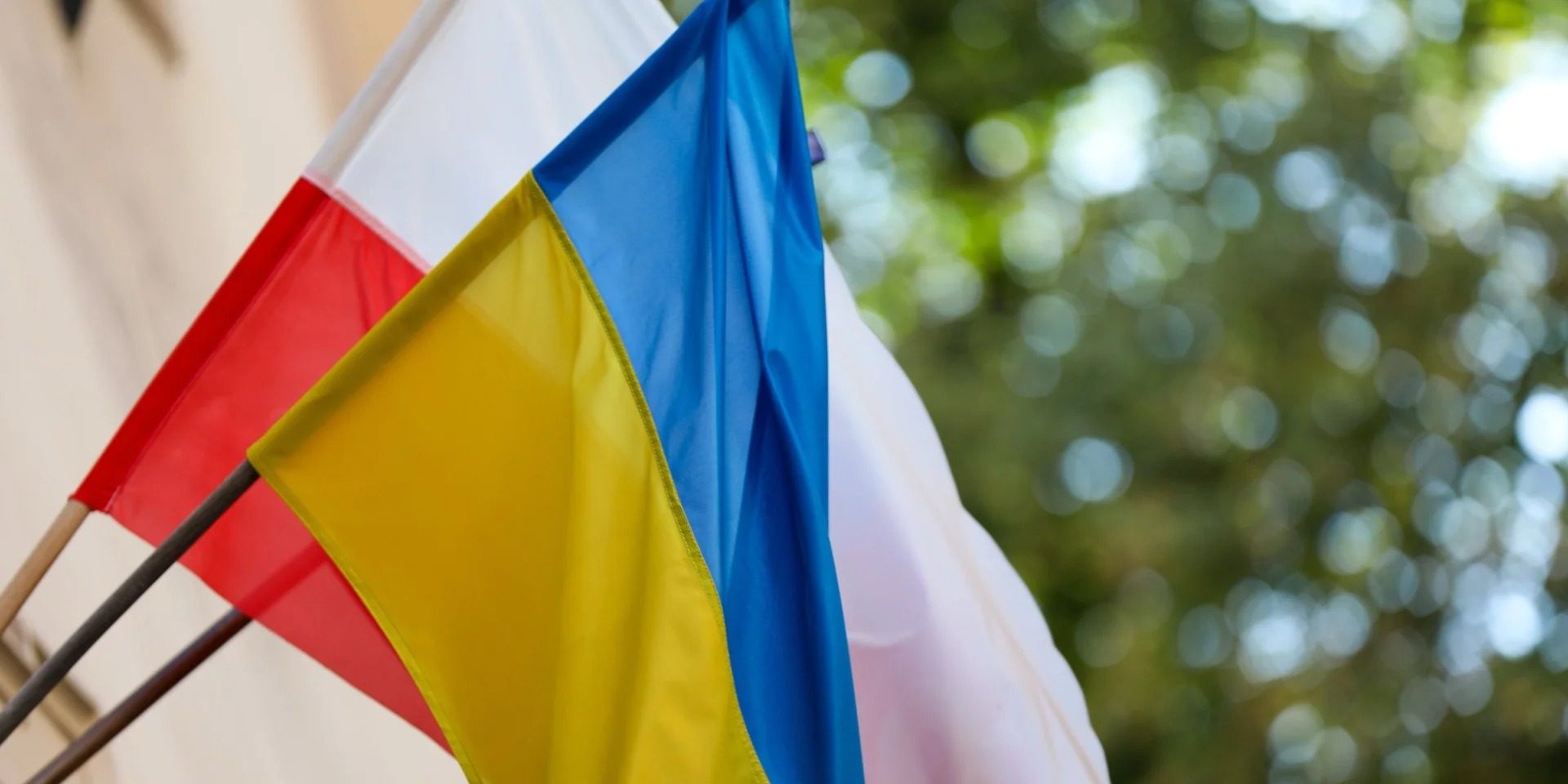 Украина предложит Польше общего героя для примирения: кто это