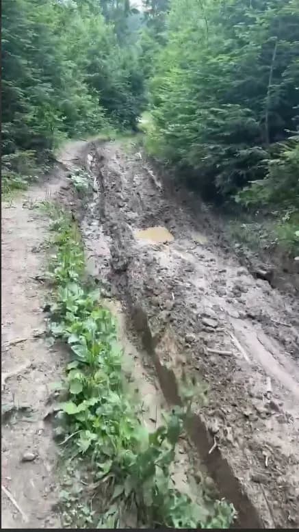 Як джипінг у Карпатах руйнує гірські схили та що планують робити 4 Як джипінг у Карпатах руйнує гірські схили та що планують робити