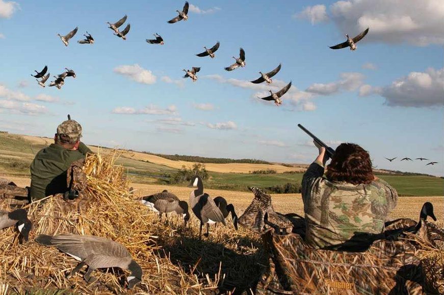 В Украине предлагают полностью запретить охоту