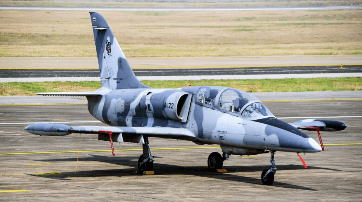 Екіпаж 200: у Краснодарському краї РФ розбився літак L-39
