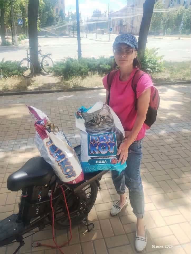 В Донецкой области авиабомба РФ убила спасавшую животных женщину 2 В Донецкой области авиабомба РФ убила спасавшую животных женщину