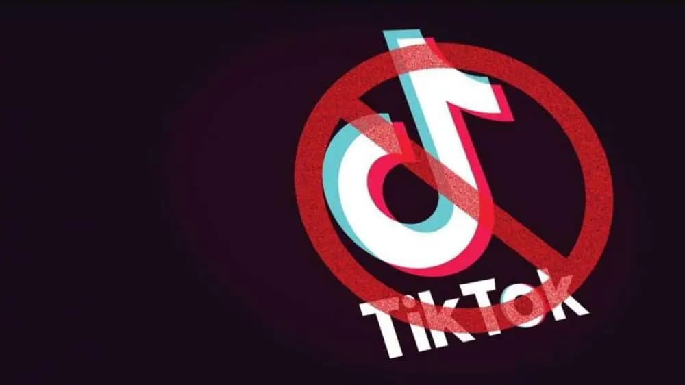 В Украине зарегистрировали петицию о запрете TikTok: что известно