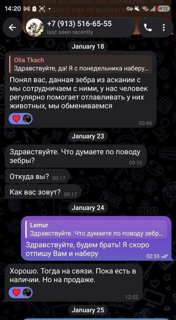В России продают похищенных из заповедника «Аскании-Нова» редких зебр 2 В России продают похищенных из заповедника «Аскании-Нова» редких зебр
